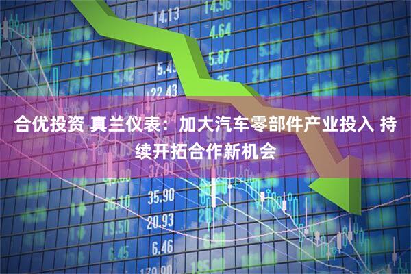 合优投资 真兰仪表：加大汽车零部件产业投入 持续开拓合作新机会
