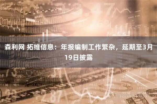 森利网 拓维信息：年报编制工作繁杂，延期至3月19日披露